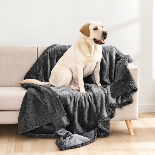 Grå dubbelsidig husdjursfilt på en soffa med en labrador