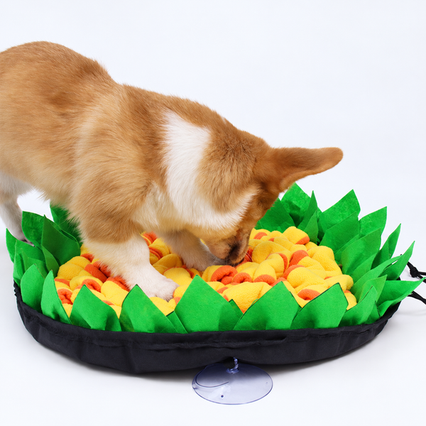 Aktiveringsmatta för hund och katt – 50 × 50 cm – varsamt förbättrad originalbild